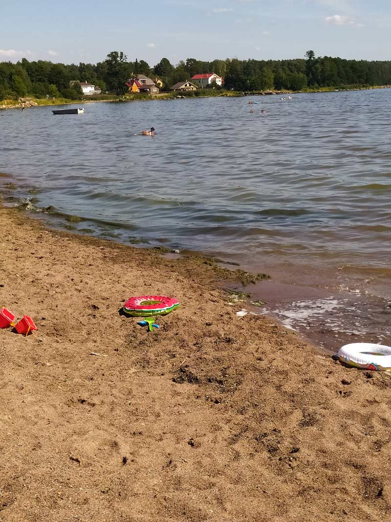 Пляж в Приморске primorsk_beach_145159_800x1067.jpg