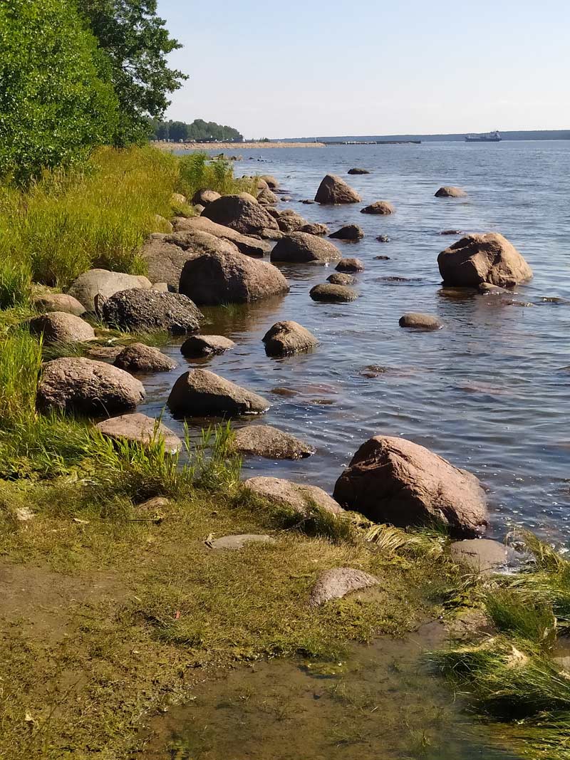 Берег Выборгского залива у кирхи в Приморске primorsk_beach_kirxa_150943_800x1067.jpg